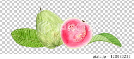 Guava whole fruit and slice with green leaves. Hand painted watercolor composition isolated on white. Textured ideal for summer textiles, cards, label, packaging, kitchen decor, tropical branding 128983232
