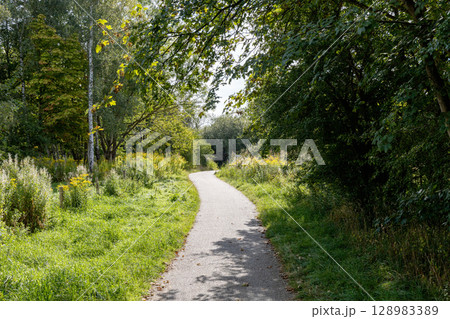 Country road among fields and forests. Rural landscape Country road among fields and forests. Rural landscape 128983389