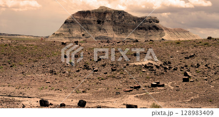 Bleak Landscape Petrified Forest National Park Arizona Bleak Landscape Petrified Forest National Park Arizona 128983409