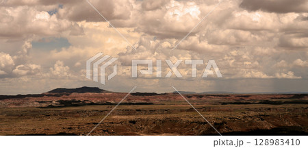 Bleak Landscape Petrified Forest National Park Arizona Bleak Landscape Petrified Forest National Park Arizona 128983410