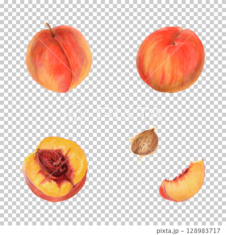 Red orange peach watercolor illustration set with whole fruits, half, slice and pit. Realistic botanical drawing isolated on white background. Natural tropical food clipart for packaging and product 128983717