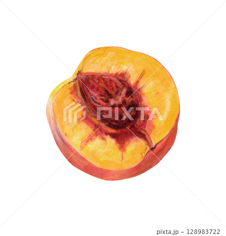 Cut peach watercolor illustration isolated on white. Ripe summer fruit half with realistic pulp and pit botanical drawing. Natural tropical food clipart for packaging and product designs 128983722