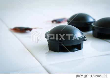 置き型のゴキブリ駆除剤　ゴキブリ退治 128985925