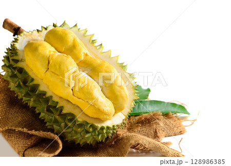 Fresh Durian Fruit or Durio zibethinus Opened on White Background .Exotic Tropical Thai King of Fruits 128986385