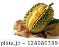 Fresh Durian Fruit or Durio zibethinus Opened on White Background .Exotic Tropical Thai King of Fruits 128986389