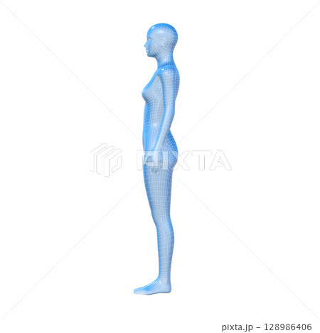 人間の体型モデル, 女性, 人体, AI, アンドロイド 128986406