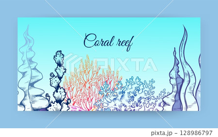 Marine background. Coral reef sketch style drawing. Sea plats, ocean underwater seaweeds banner design, algae and kelp in aquarium. Horizontal poster with copy space vector illustration Marine background. Coral reef sketch style drawing. Sea plats, ocean underwater seaweeds banner design, algae and kelp in aquarium. Horizontal poster with copy space vector illustration 128986797