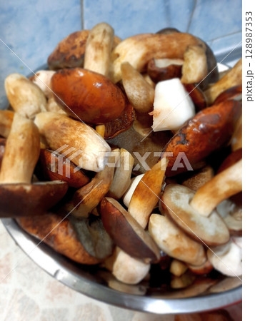 Assorted Fresh and Sauteed Mushrooms in a Shiny Metal Mixing Bowl Assorted Fresh and Sauteed Mushrooms in a Shiny Metal Mixing Bowl 128987353