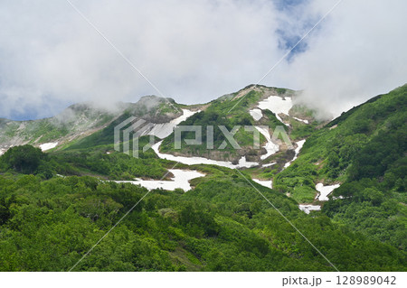 夏の栂池自然園・残雪の山々/長野県 夏の栂池自然園・残雪の山々/長野県 128989042