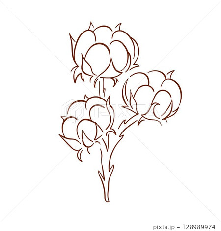 Line art style cotton plant branch with fluffy boll isolated on white background. Perfect for textile design, natural product packaging and botanical illustration. Line art style cotton plant branch with fluffy boll isolated on white background. Perfect for textile design, natural product packaging and botanical illustration. 128989974