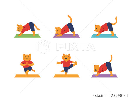 Cat Doing Yoga Poses in Red Shirt and Blue Shorts on Colorful Mats Vector Illustration 128990161
