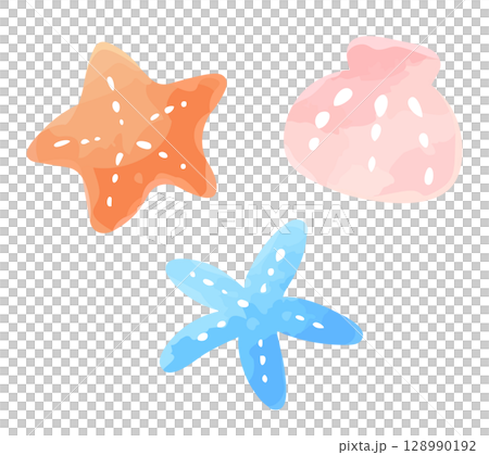 ヒトデと貝殻の手描き風イラスト 128990192