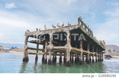 A pier with a lot of birds on it, Chancay Lima, Peru. A pier with a lot of birds on it, Chancay Lima, Peru. 128990298