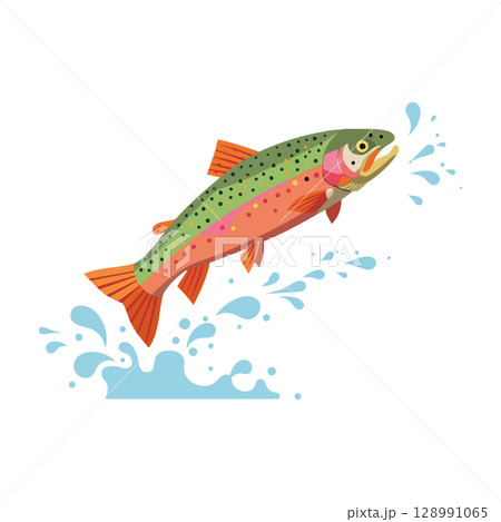 Rainbow trout fish jumping with water splash vector illustration in colorful natural design 128991065