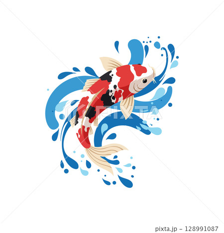 Koi Fish Swimming with Blue Water Splash Vector Illustration in Red Black and White Colors Koi Fish Swimming with Blue Water Splash Vector Illustration in Red Black and White Colors 128991087