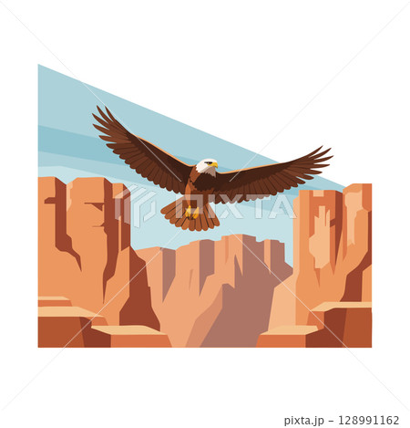 Bald eagle soaring over red rock canyon landscape vector illustration in blue sky 128991162