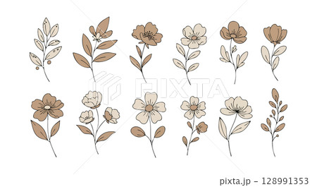 Minimalist brown and beige floral vector design with delicate leaves and flowers natural style Minimalist brown and beige floral vector design with delicate leaves and flowers natural style 128991353
