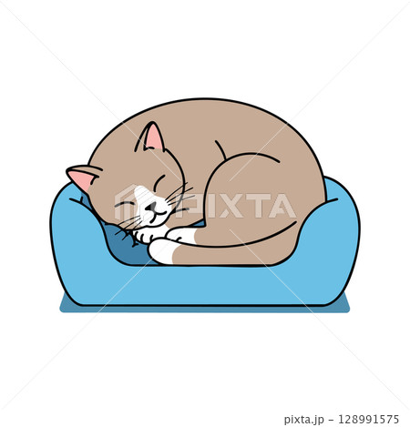 Sleeping brown and white cat curled up on blue pet bed vector illustration 128991575