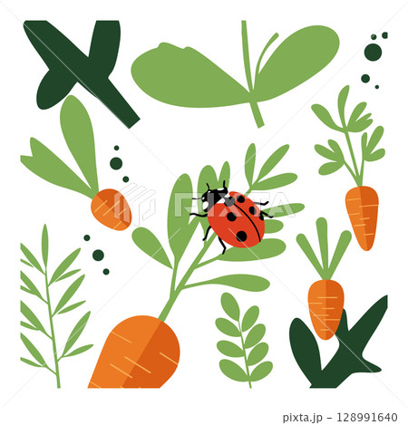Ladybug on Carrots and Green Leaves Vector Illustration with Orange and Green Colors Ladybug on Carrots and Green Leaves Vector Illustration with Orange and Green Colors 128991640
