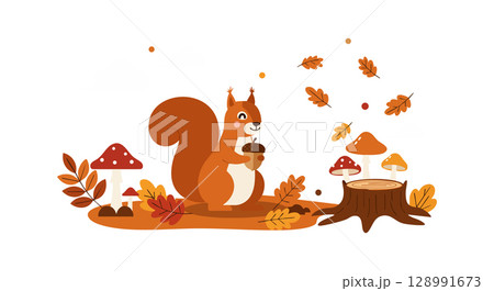 Red squirrel holding acorn with autumn leaves and mushrooms vector illustration Red squirrel holding acorn with autumn leaves and mushrooms vector illustration 128991673