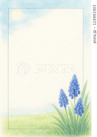ポストカード ムスカリの花 ポストカード ムスカリの花 128991903