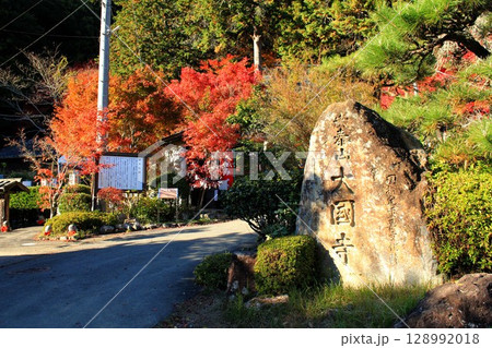 大国寺紅葉 大国寺紅葉 128992018