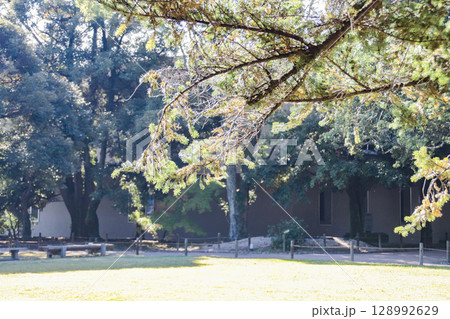 後楽園・外苑/岡山県岡山市北区後楽園 後楽園・外苑/岡山県岡山市北区後楽園 128992629