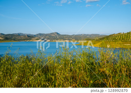 Iznajar reservoir, in the province of Cordoba 128992870