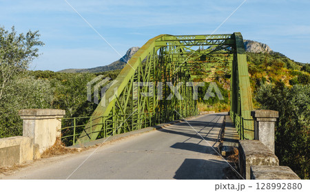 Luis de Arminan bridge over the Genil river 128992880