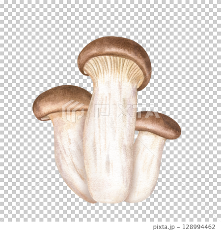 King oyster mushroom eryngii watercolor illustration isolated on white. Hand painted Asian eringii ingredient for ramen and udon recipes. Vegan and vegetarian healthy food, organic product. 128994462