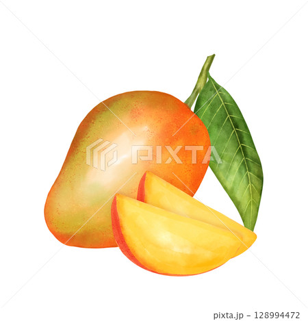 Hand-drawn illustration featuring a ripe whole mango, a bright yellow slice, and a green leaf. 128994472