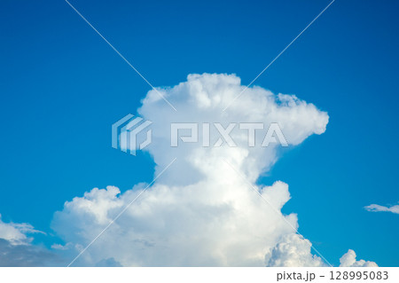 発達の上限に達した入道雲(鉄床雲) 発達の上限に達した入道雲(鉄床雲) 128995083