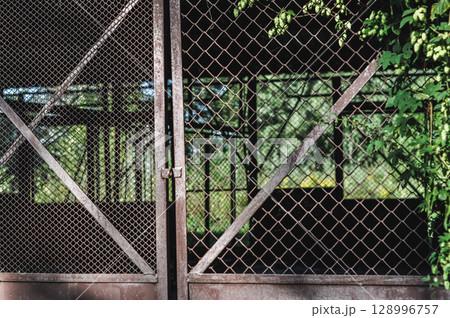 Old Abandoned Rusty Warehouse Buildings Amidst Greenery and Sunlight 128996757