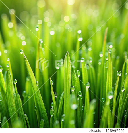 Close-Up of Grass With Water Droplets. Generative AI 128997662