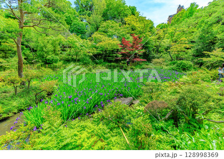東京　港区 南青山　新緑がきれいな根津美術館の庭園 128998369