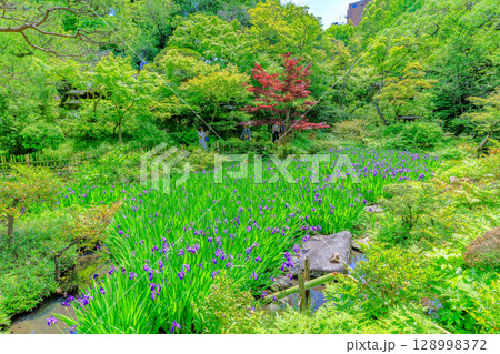 東京　港区 南青山　新緑がきれいな根津美術館の庭園 128998372