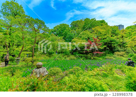 東京　港区 南青山　新緑がきれいな根津美術館の庭園 128998378