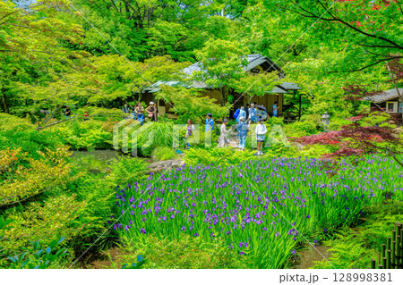 東京 港区 南青山 新緑がきれいな根津美術館の庭園 東京 港区 南青山 新緑がきれいな根津美術館の庭園 128998381