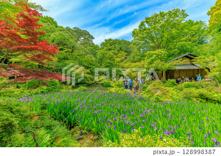 東京　港区 南青山　新緑がきれいな根津美術館の庭園 128998387