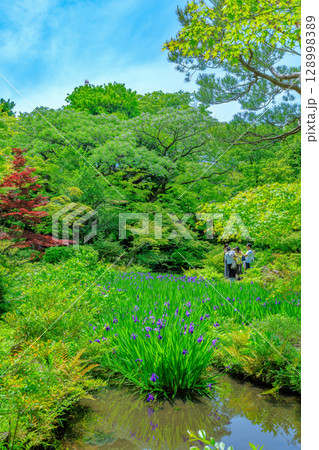 東京　港区 南青山　新緑がきれいな根津美術館の庭園 128998389