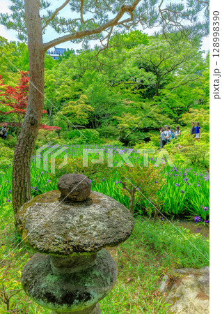 東京　港区 南青山　新緑がきれいな根津美術館の庭園 128998390