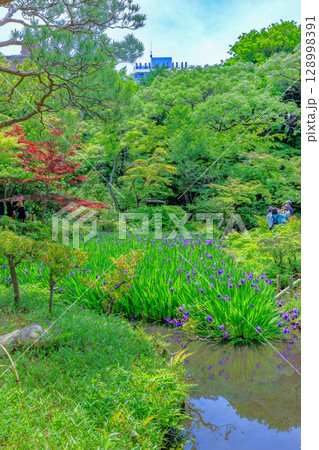 東京　港区 南青山　新緑がきれいな根津美術館の庭園 128998391
