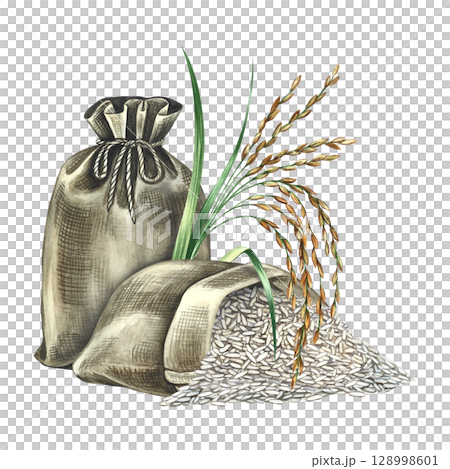 Closed and open burlap bags for rice with a rice spike next to them. Hand-drawn watercolor illustration. Element of menu design, recipes, and cookbooks. For banners, flyers, packaging, labels and more 128998601