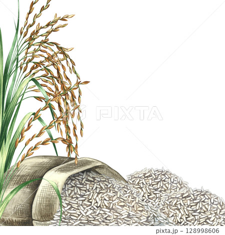 A frame with an overturned burlap sack of rice and rice grains. Hand-drawn watercolor illustration. Design element for menus, recipes, and cookbooks. For banners, flyers, packaging, labels, and more. 128998606