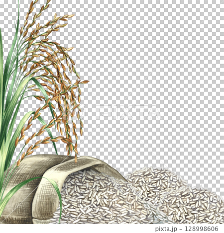 A frame with an overturned burlap sack of rice and rice grains. Hand-drawn watercolor illustration. Design element for menus, recipes, and cookbooks. For banners, flyers, packaging, labels, and more. 128998606