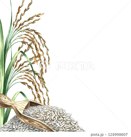 A frame with a wooden spatula filled with rice and rice grains. A hand-drawn watercolor illustration. An element of menu design, recipes, cookbooks, banners, flyers, packaging, labels, and more. 128998607