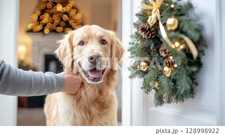 抱き上げられて空を仰ぐ柴犬の赤ちゃん 128998922