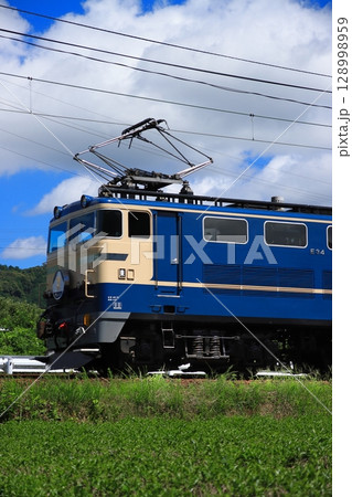 静岡名物お茶畑の中をのんびりと走る大井川鉄道E31形牽引のブルートレイン急行_2025/7/20撮影 128998959