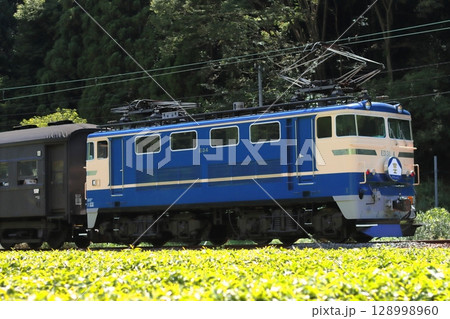 静岡名物お茶畑の中をのんびりと走る大井川鉄道E31形牽引のブルートレイン急行_2025/7/20撮影 静岡名物お茶畑の中をのんびりと走る大井川鉄道E31形牽引のブルートレイン急行_2025/7/20撮影 128998960