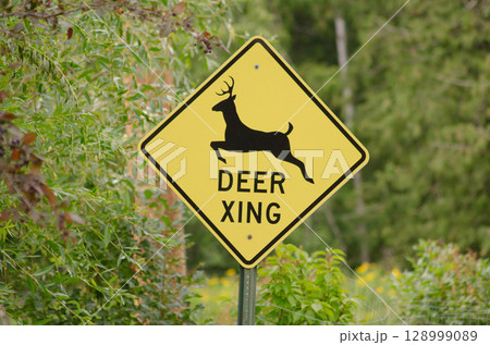 Deer Crossing Warning Sign on Country Road 128999089